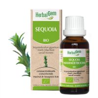 Sequoia 30ml | Herbalgem