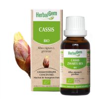 Cassis Macérat 30ml BIO | Herbalgem