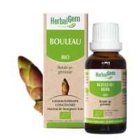 Bouleau 30ml | Herbalgem