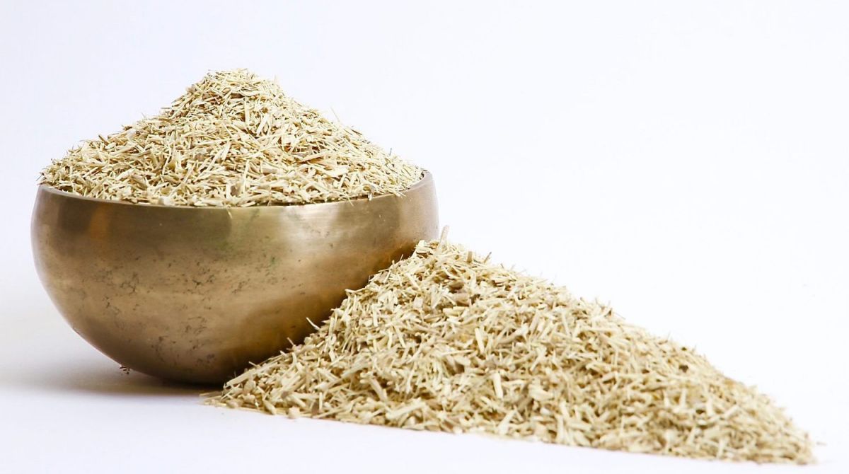 Eleuthérocoque BIO (Ginseng de Sibérie) | Racine