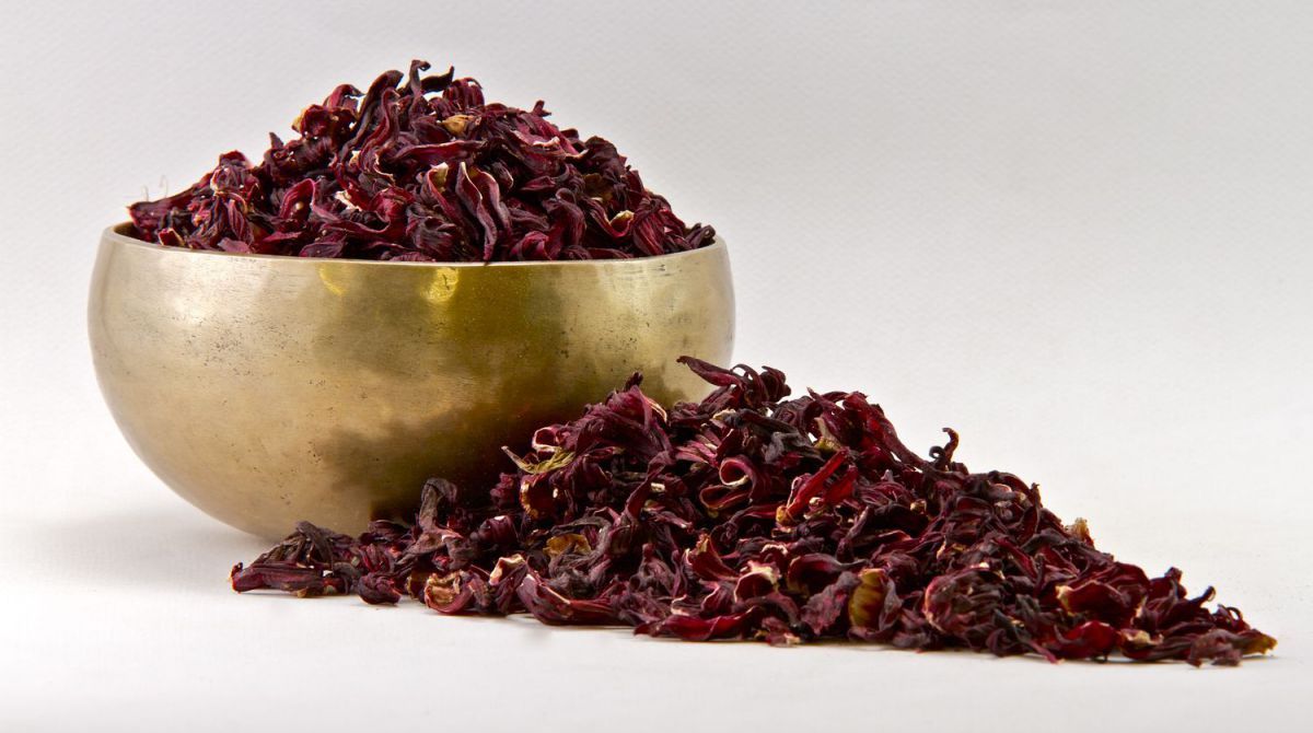 Hibiscus BIO - Plante en vrac pour infusion