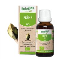 Frêne 30ml BIO | Herbalgem