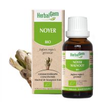 Noyer Macérât 30ml BIO | Herbalgem