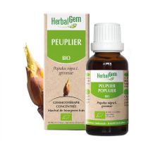 Peuplier Macérât BIO 30ml | Herbalgem