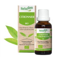 Citronnier Macérat 30ml BIO | Herbalgem