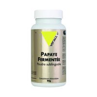 Papaye Fermentee Poudre 90g