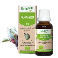 Pommier Macérât BIO 30ML | Herbalgem