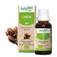 Chêne Macérat 30ml BIO | Herbalgem