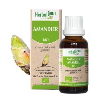 Amandier 30ml | Herbalgem