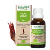 Vigne vierge 30ML | Herbalgem