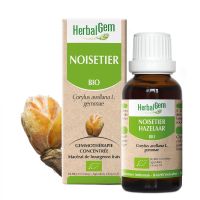 Noisetier Macérât 30ml BIO | Herbalgem