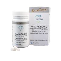 MAGNETIONE