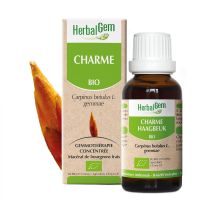 Charme Macérat 30ml BIO | Herbalgem