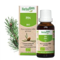 Pin Macérât BIO 30ml Herbalgem