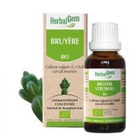 Bruyere 30 ml | Herbalgem