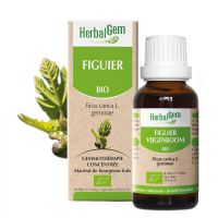 Figuier 30ml BIO | Herbalgem