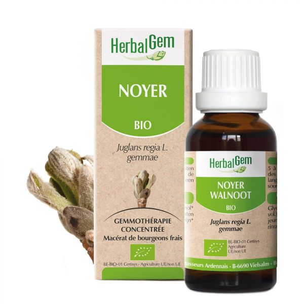 Noyer Macérât 30ml BIO | Herbalgem