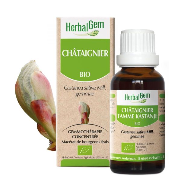 Chataignier Macérat 30ml BIO | Herbalgem