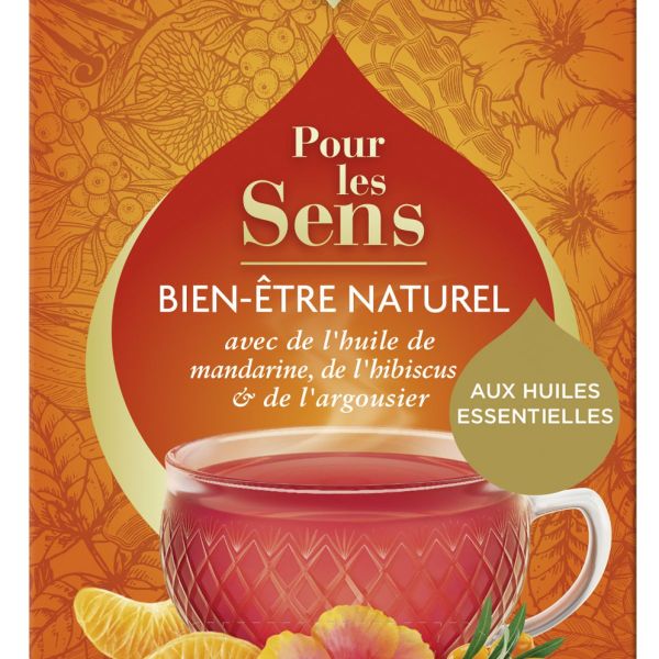 YOGI TEA Bien-être Naturel 20 Infusettes